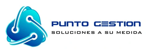 Punto Gestion Logo